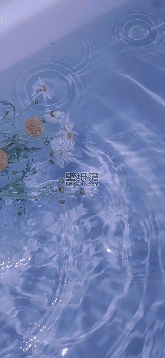 蓝色水面上漂浮的白色花朵和绿色叶子 手机壁纸