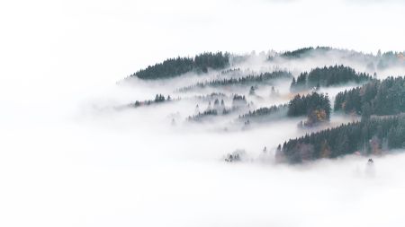 云雾缭绕的山林景色电脑壁纸图片下载