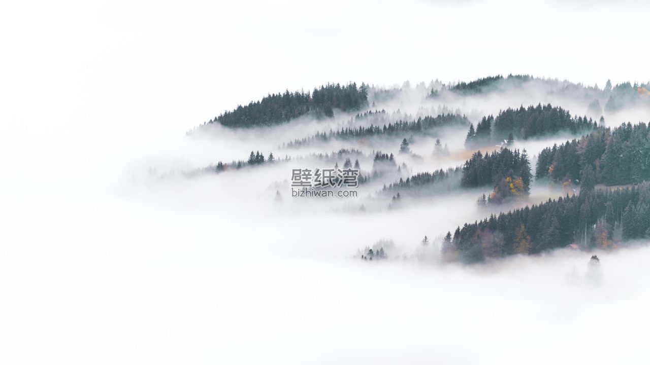 云雾缭绕的山林景色电脑壁纸图片下载