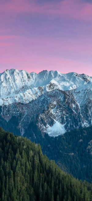 雪山、森林与紫色的天空手机壁纸图片下载