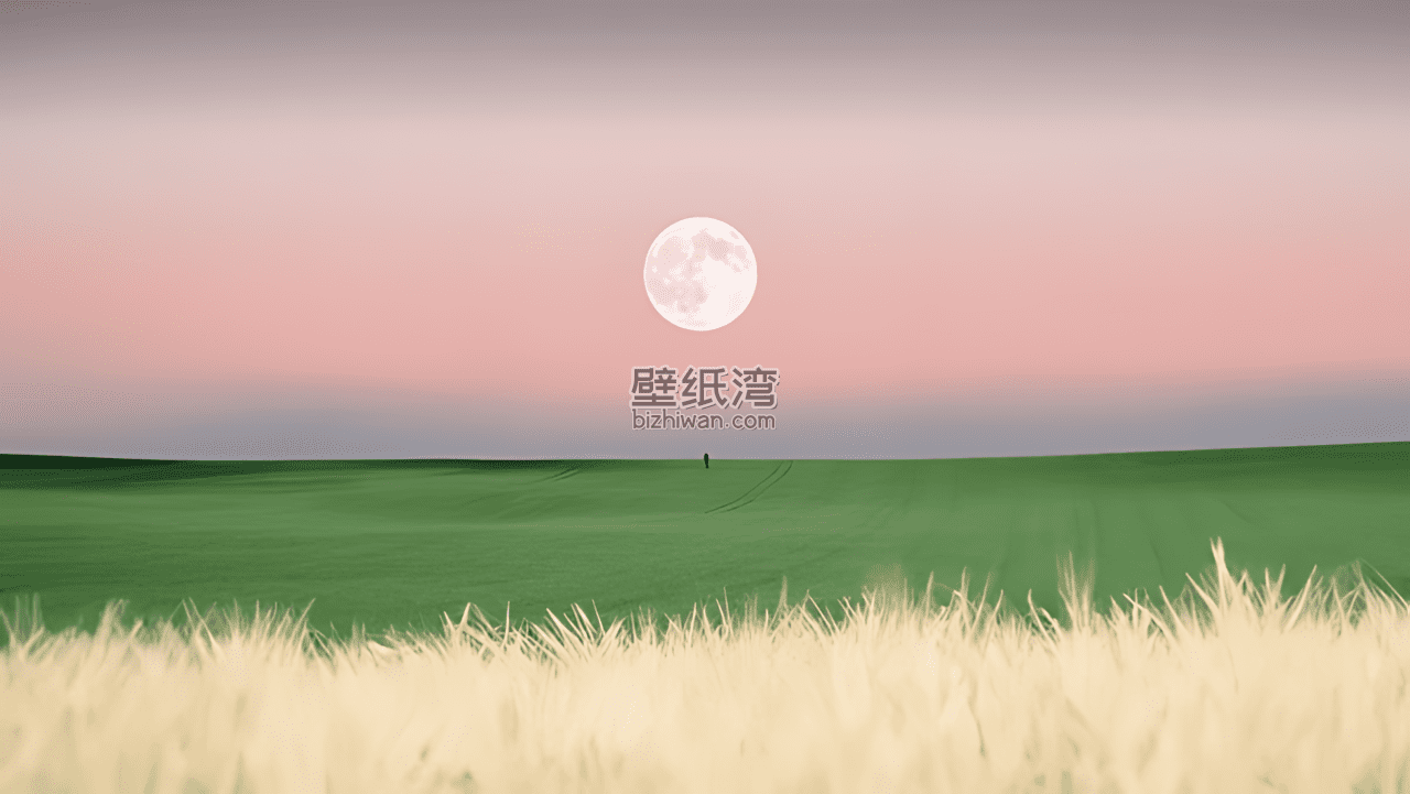 月光下的田野，一个人站在远处，天空中一轮圆月，电脑桌面壁纸