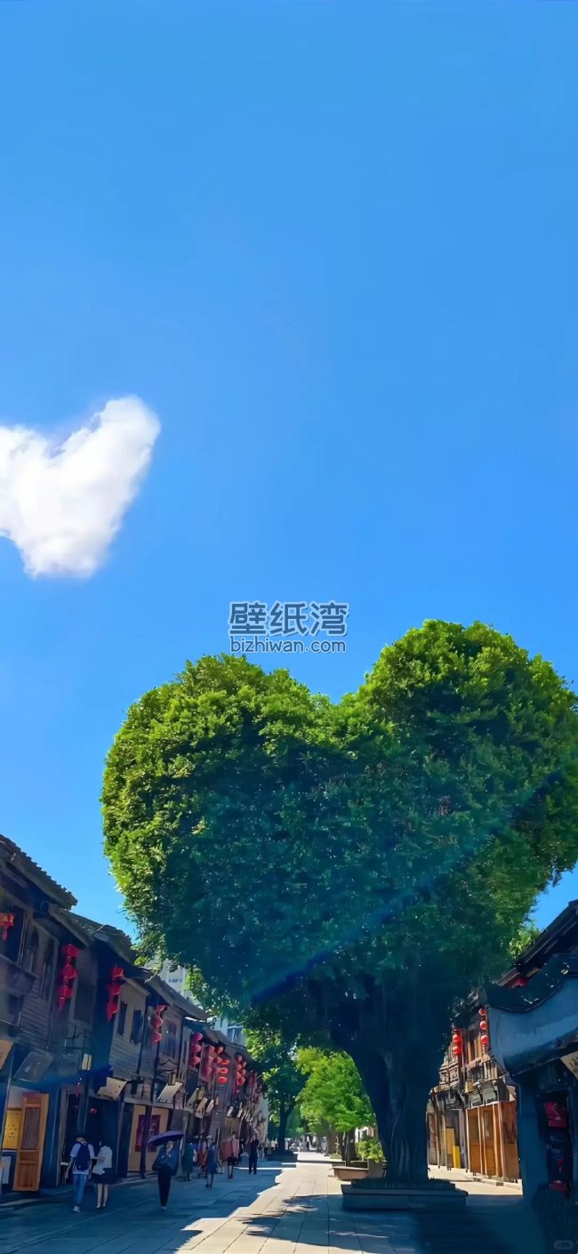 北京南锣鼓巷的树冠形成心形图案