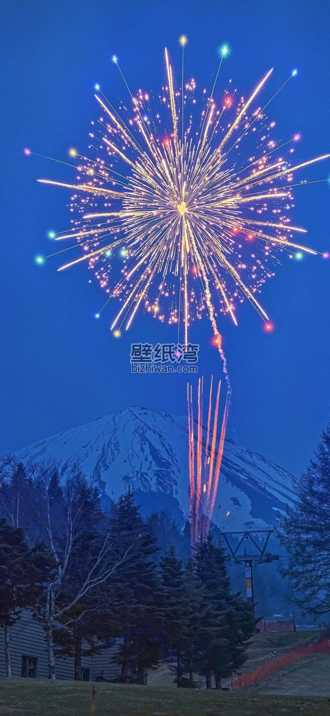夜空中绽放的烟花与雪山 手机壁纸图片