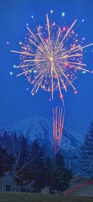 夜空中绽放的烟花与雪山 手机壁纸图片