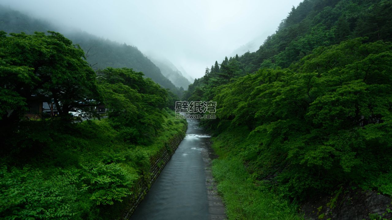 山谷中的河流穿过茂密的绿色森林 5K电脑高清壁纸下载