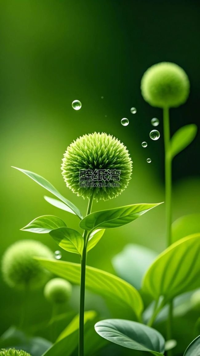 绿色植物上的水珠特写手机壁纸下载