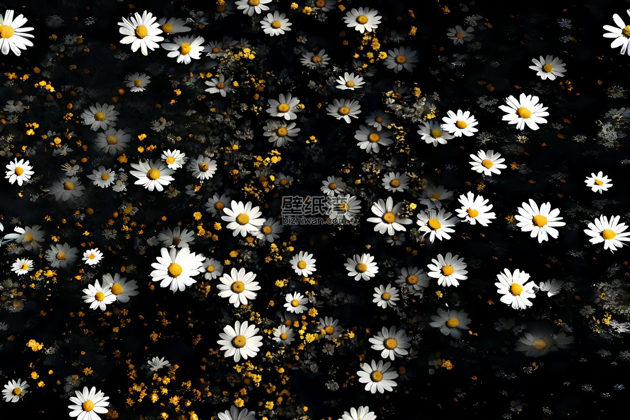 暗夜雏菊 暗黑系插画 4500*3000 分辨率壁纸图片下载