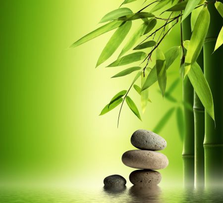 竹子,石头,水,绿色背景图片 4K高清图片