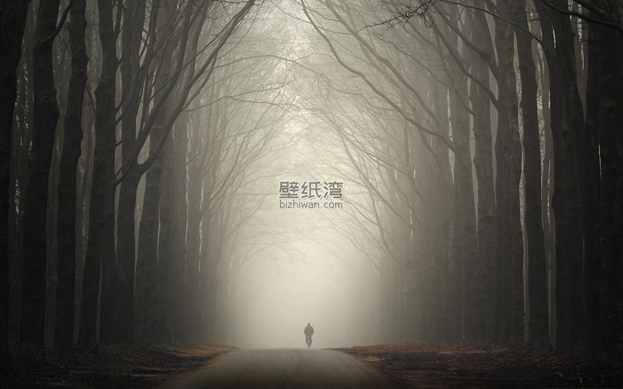 雾中森林小径，一个人骑着单车 1920x1200图片壁纸