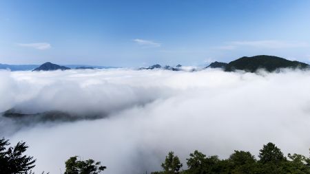 云水鹤峰云海覆盖的山峦，蓝天与绿树点缀其间