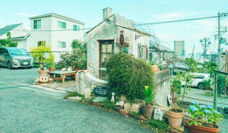 乡村风格的住宅区小屋前摆放着各种植物和装饰品
