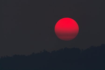 日落时分 红色太阳 黑暗的天空 地平线 树木剪影 6K高清壁纸