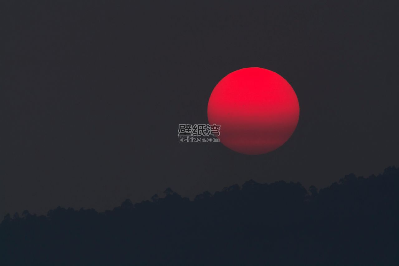 日落时分 红色太阳 黑暗的天空 地平线 树木剪影 6K高清壁纸