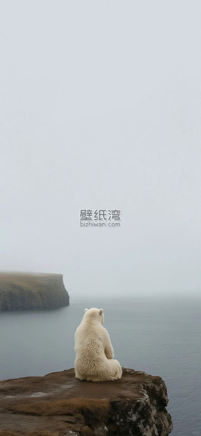 北极熊坐在悬崖边眺望远方的海景
