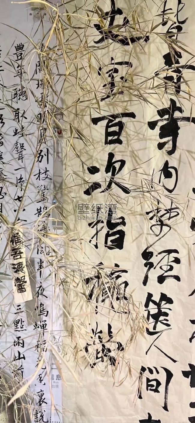 书法作品展示，纸张上书写着黑色的汉字，旁边有干草装饰壁纸图片