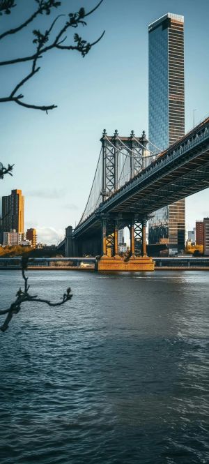 纽约曼哈顿大桥与高楼建筑