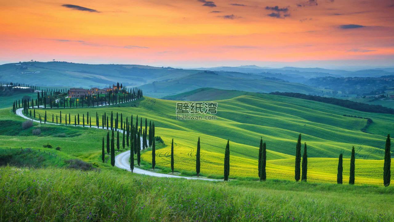意大利托斯卡纳巴科尔诺地区的风景，蜿蜒的道路穿过绿色的田野和柏树