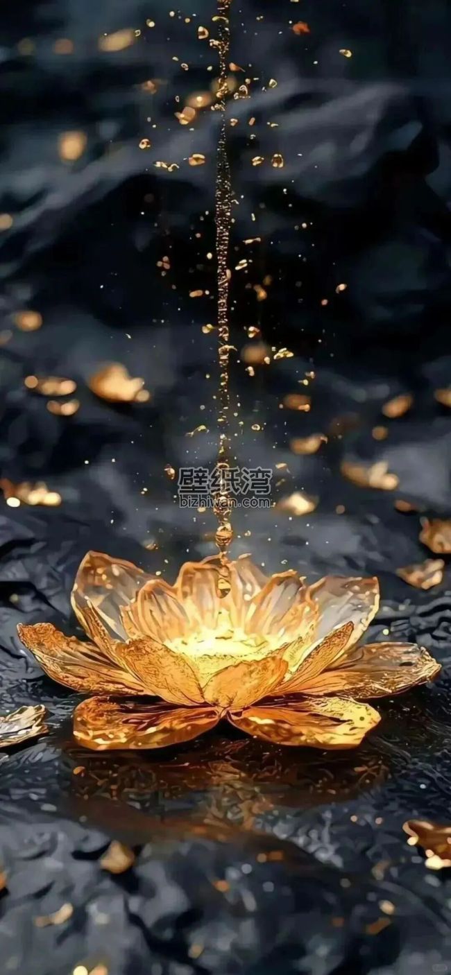 金色花朵 水滴 黑色背景 黑金风格 高清手机壁纸