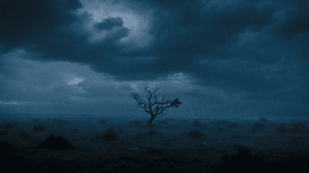 荒野 下雨天 云 树 电脑桌面壁纸图片